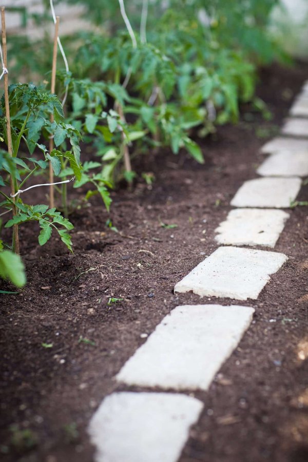 les techniques de permaculture pour un jardin plus durable