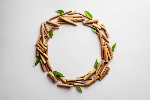 les actualités sur les économies d'eau et les gestes éco-responsables à adopter chez soi